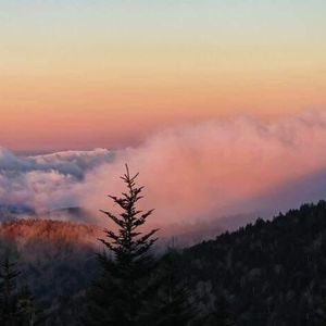 Meet your Posher, Terry